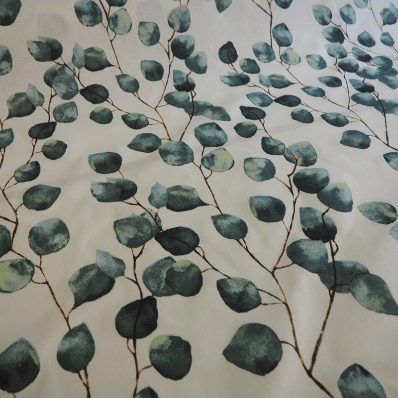 Eukalyptus zweige Pflanze auf Deko Canvas weiß Dekostoff