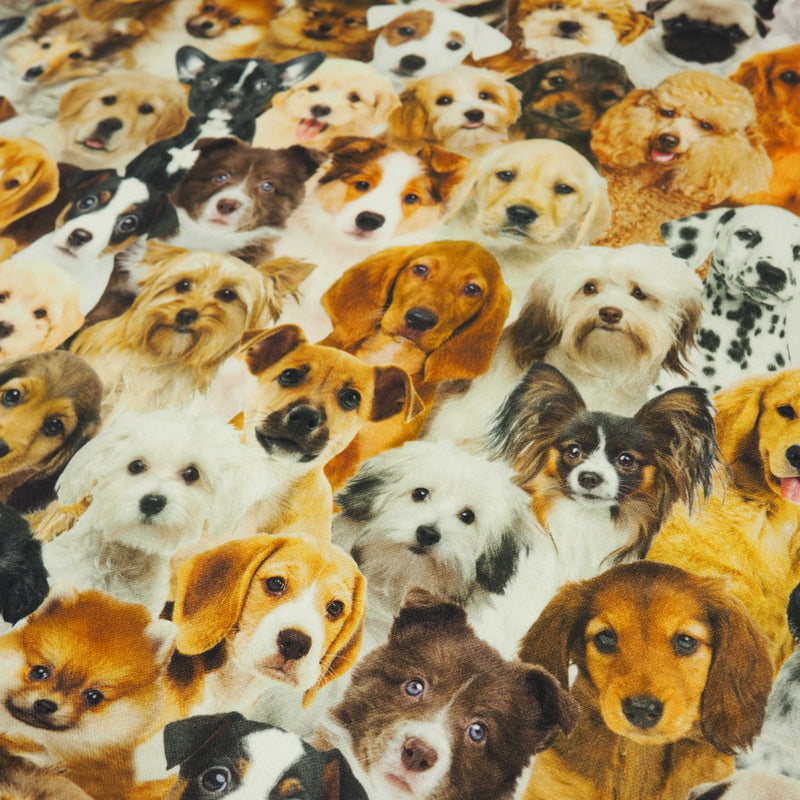 Hunde als Digitaldruck Canvas Dekostoff