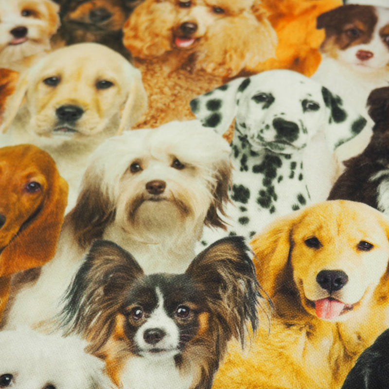 Hunde als Digitaldruck Canvas Dekostoff